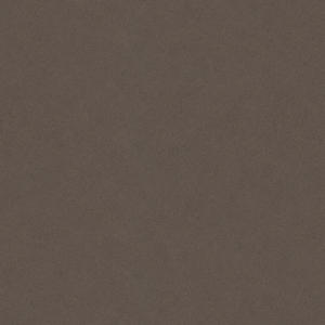 Caesarstone — 4120 Raven