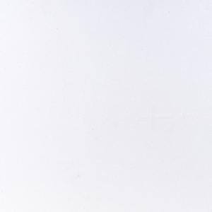 Caesarstone — 1111 Vivid White