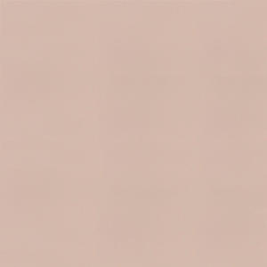 Compac — Cool Gray 0450