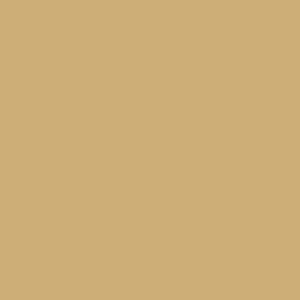 Corian — dupont corian absolute beige