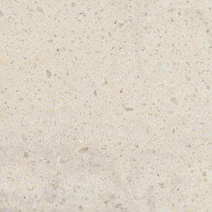 Corian — dupont corian clam shell