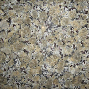 butterfly beige